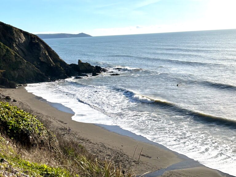 after-storm-2-img_5249